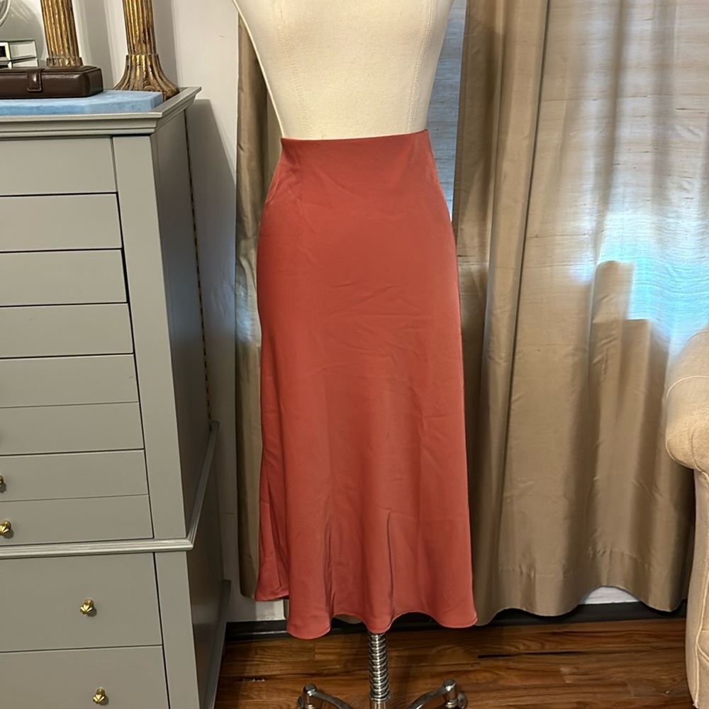 Dress or skirt